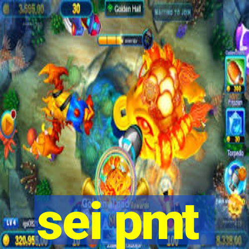 sei pmt